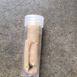 69 cal buck and ball combustible case cartridge