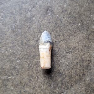 36 cal. water vilet Arsenal combustible case cartridge